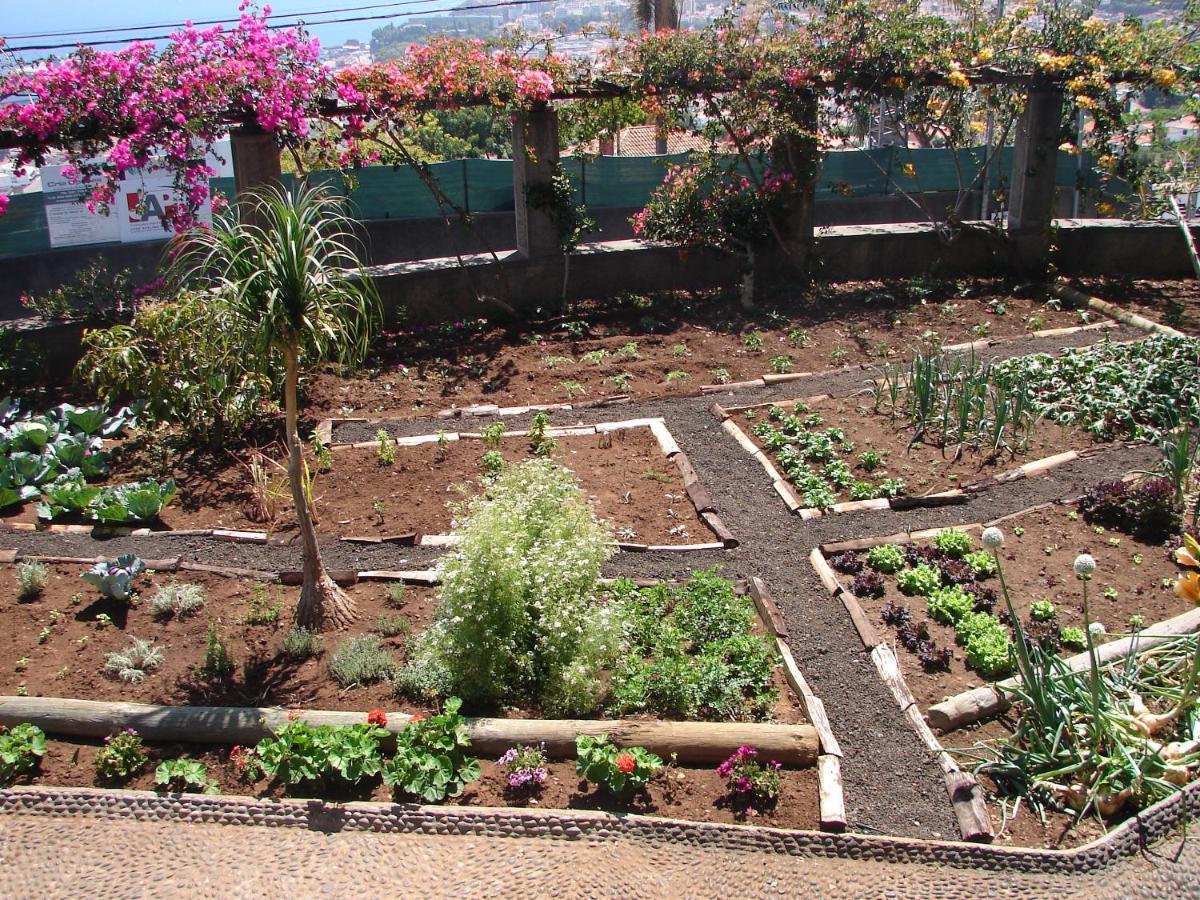 Apartamento Quinta Do Bom Sucesso Funchal  Exterior foto