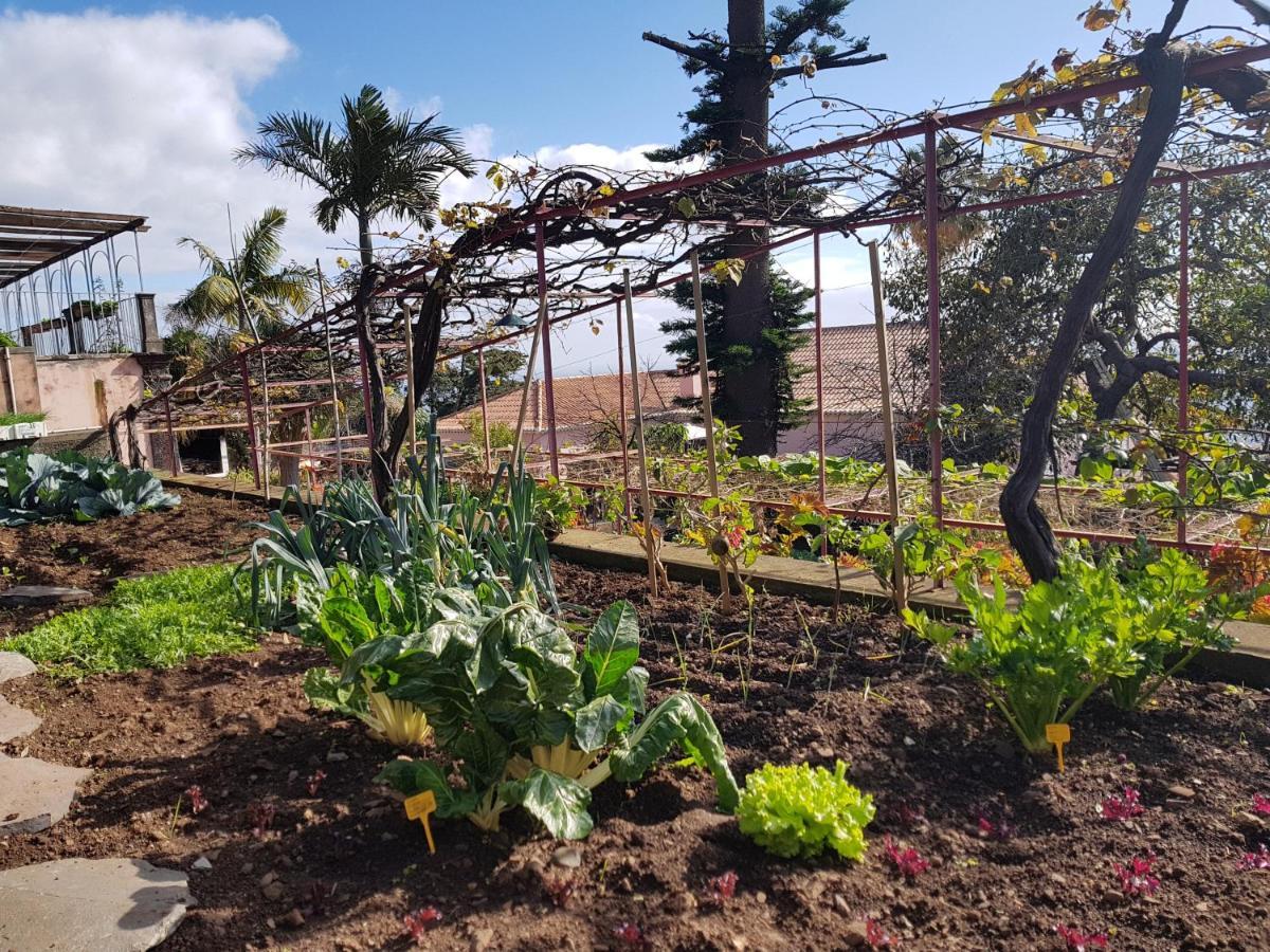 Apartamento Quinta Do Bom Sucesso Funchal  Exterior foto