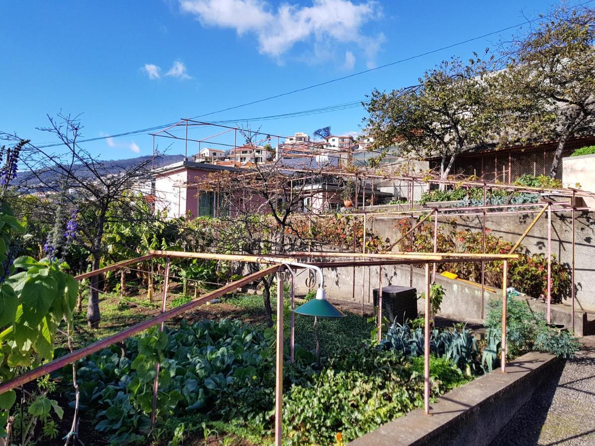 Apartamento Quinta Do Bom Sucesso Funchal  Exterior foto